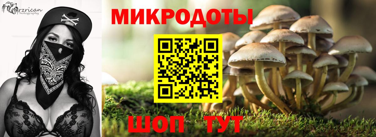 Псилоцибиновые грибы Cubensis Каменск-Шахтинский
